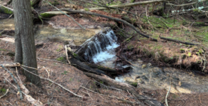 Waterfall