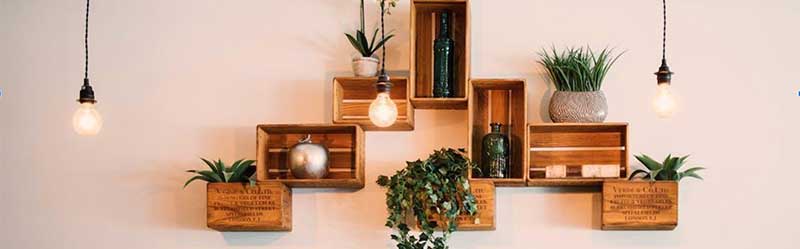 Image of floating shelves with plants