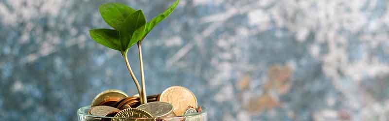 Thrifty lifestyle - image of a plant growing from coins